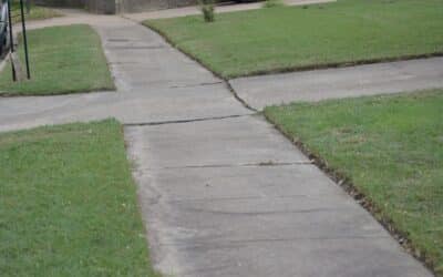 Common Lawn Care Mistakes to Avoid